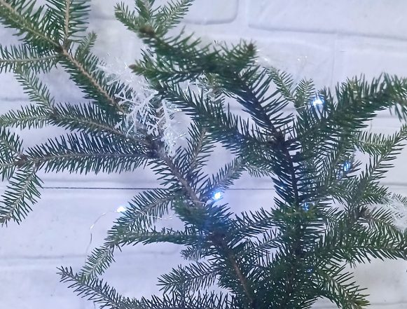 Ёлки на переработку