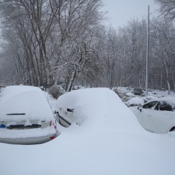 Камчатка. 2.0