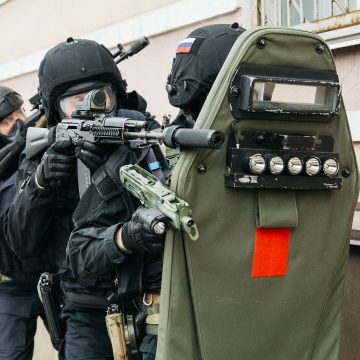 Липецкий «Феникс»