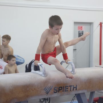 гимнастика Спортивная гимнастика