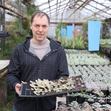 Алексей Яковлев Зелёный минимум