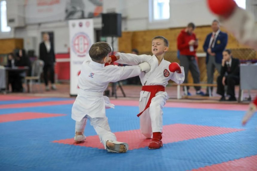 сито-рю Сито-рю