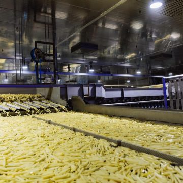 картофель фри Одна на всю страну