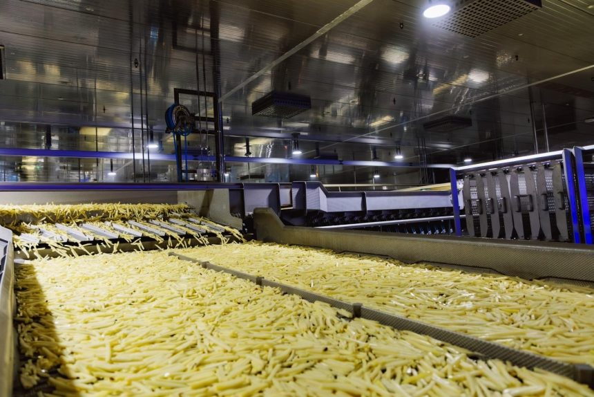 Одна на всю страну