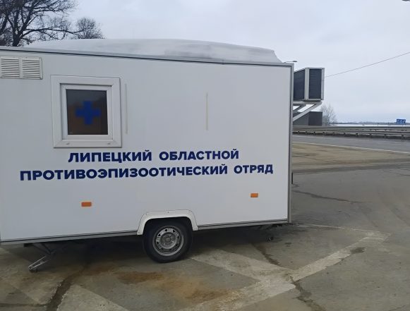 контроль за незаконными перевозками сельхозпродукции и животных пресс прав Дополнительные посты для контроля за перевозками сельхозпродукции и животных организовали в Липецке