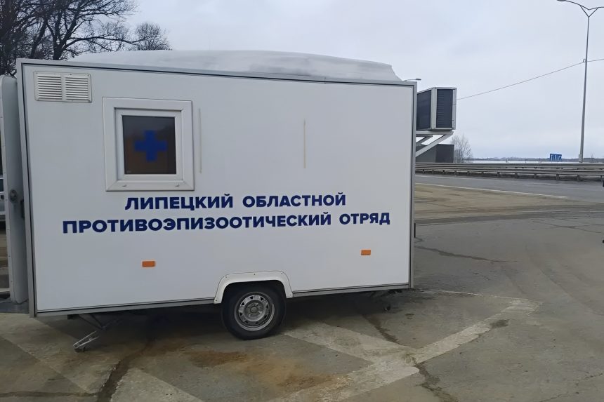 Дополнительные посты для контроля за перевозками сельхозпродукции и животных организовали в Липецке