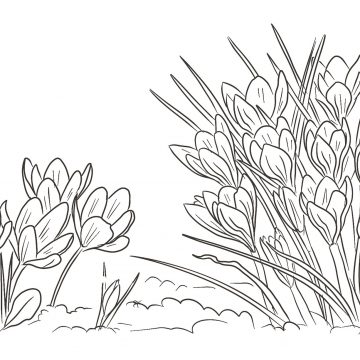 Литавт. женщины Поэтическая карта России. Женщины