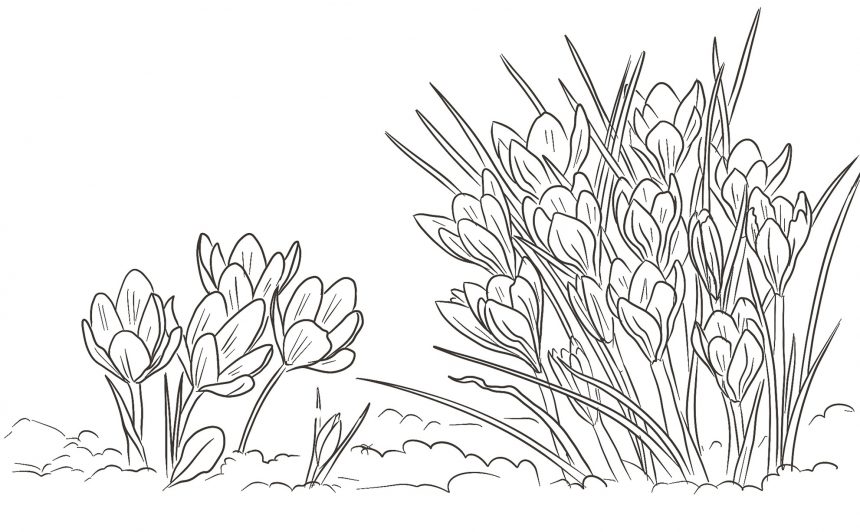 Литавт. женщины Поэтическая карта России. Женщины