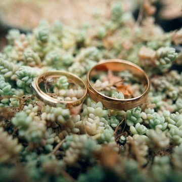 кольца свадебные 10 пар создадут семьи сегодня — в зеркальную дату