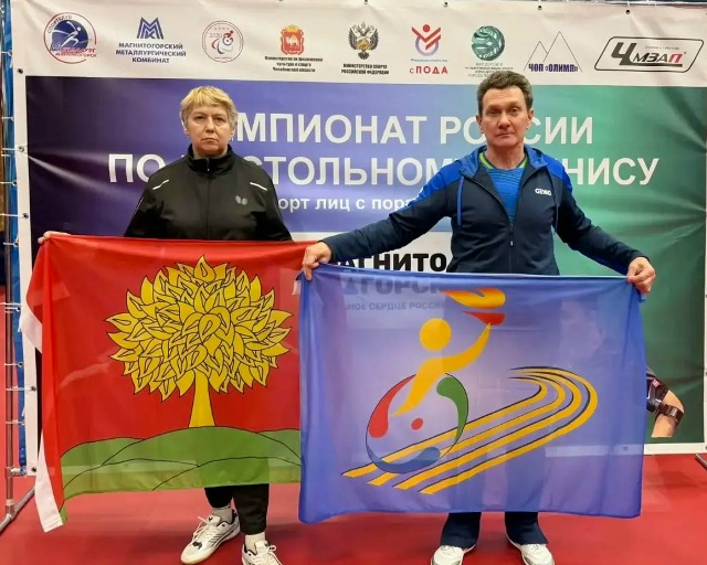 настольный теннис Настольный теннис