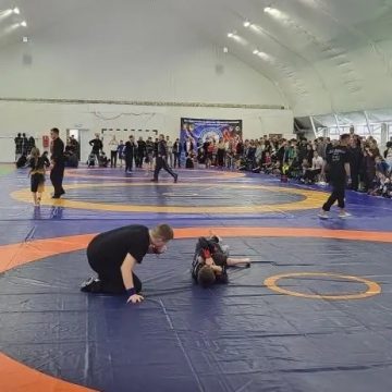 спортивная борьба липецк фото федерация Спортивная борьба