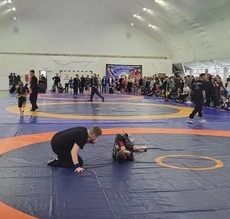 спортивная борьба липецк фото федерация Спортивная борьба