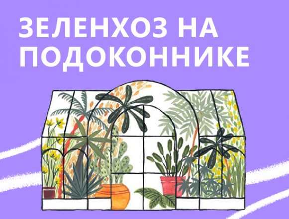 Зеленхоз на подоконнике