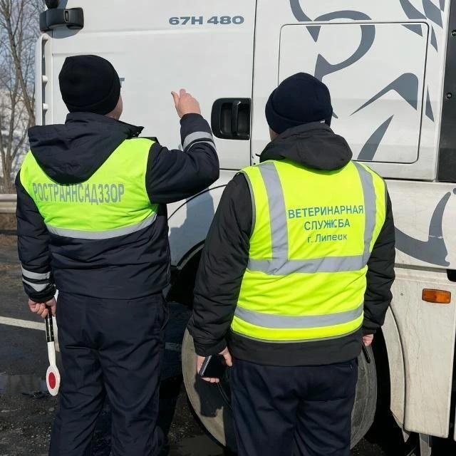 ветеринары Ветеринары в Липецке опровергли фейки из соцсетей о болезнях животных и птиц