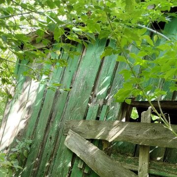 заброшен зем.участок Было ваше — стало наше