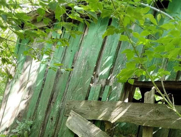 Было ваше — стало наше