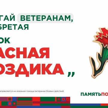 Больше 260 тысяч рублей собрали в Липецкой области в рамках акции «Красная гвоздика»