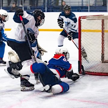 хокк Юные хоккеисты из Липецка одержали две победы над воронежцами