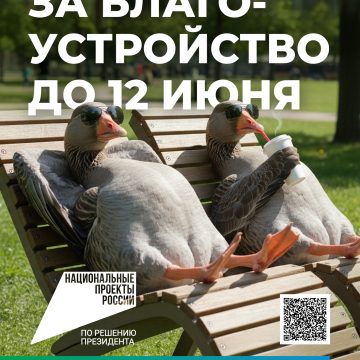 Чуть больше двух недель осталось у липчан для голосование за благоустройство
