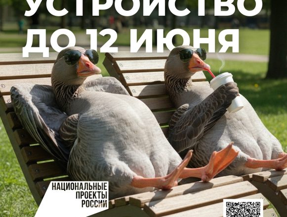 В Липецке стартовало голосование за выбор мест для благоустройства