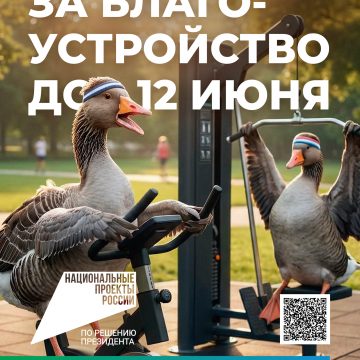 Более 50 тысяч человек уже проголосовали за территории для благоустройства в Липецке