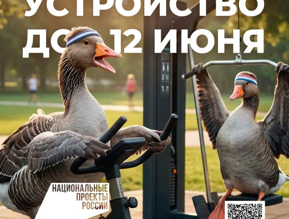 кгс голосование 2026 баннеры гуси (4) Более 50 тысяч человек уже проголосовали за территории для благоустройства в Липецке