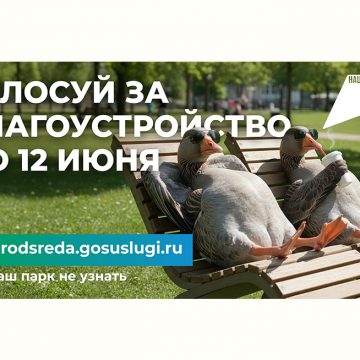 В Липецке стартовало голосование за выбор мест для благоустройства