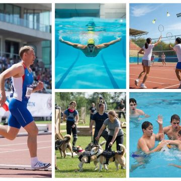 коллаж на спорт афишу Собаководство и бадминтон: в спортивной афише Липецка с 6 по 13 апреля много интересного