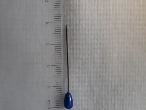 булавка Портновскую булавку достали липецкие медики из кишки 10-летнего мальчика без полостной операции