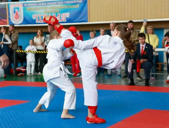 восточные единоборства Спортсмены клуба «ШЕВО» стали лучшими на «Кубке Победы» в Липецке