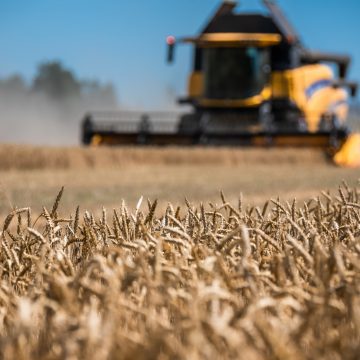 На 60% выполнен план весеннего сева в Липецкой области