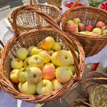 яблоки ярмарка продукты пн В среду, 28 октября, в Липецке пройдёт продовольственная ярмарка