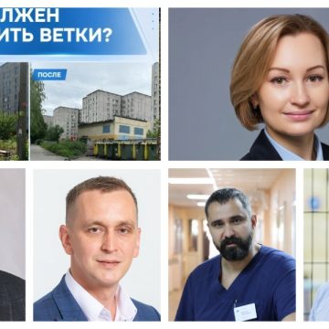 депутаты коллаж Кто должен вывозить ветки в Липецке разъяснила депутат горсовета