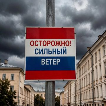 О сильном ветре в Липецке предупреждает МЧС