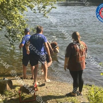 Тело подростка достали из реки Дон в Липецкой области водолазы