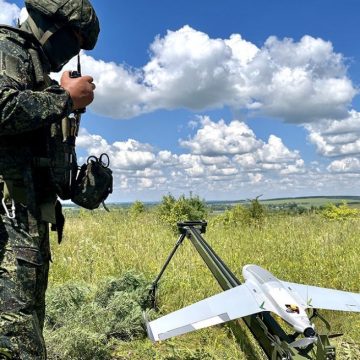 рг дрон лис-2 сво На вражеские БПЛА российские военнослужащие «натравливают» «Лиса»