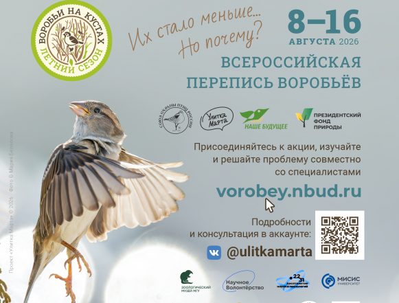 Липчанам предлагают посчитать воробьев