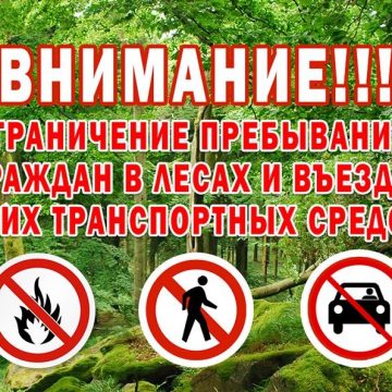 лес ограниченный вход и въезд С 3 по 23 августа вводится ограничение входа и въезда в леса в Липецкой области