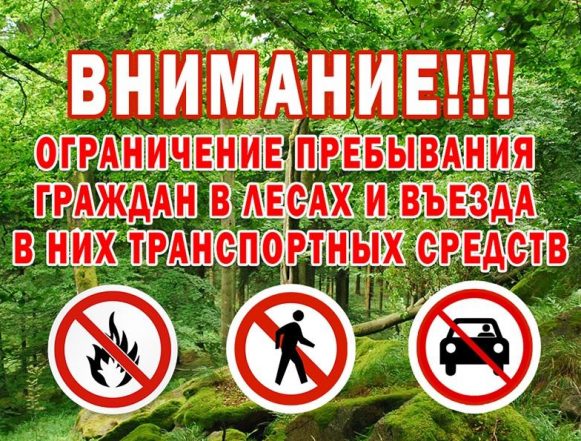 С 3 по 23 августа вводится ограничение входа и въезда в леса в Липецкой области