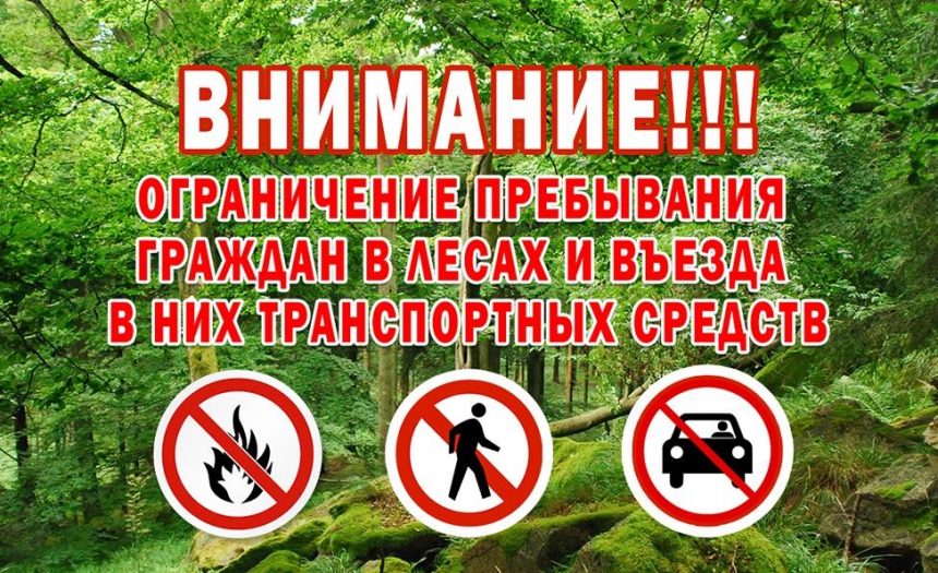 лес ограниченный вход и въезд С 3 по 23 августа вводится ограничение входа и въезда в леса в Липецкой области