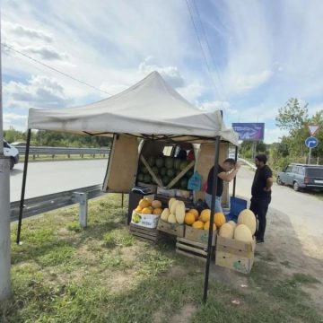 уличные торговцы дыни упр рынка потр На шестерых незаконных уличных торговцев в Липецке составили протоколы
