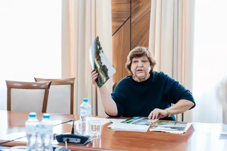 Липчане попросили мэра разобраться с подтоплением дома и участка в Радиаторном переулке