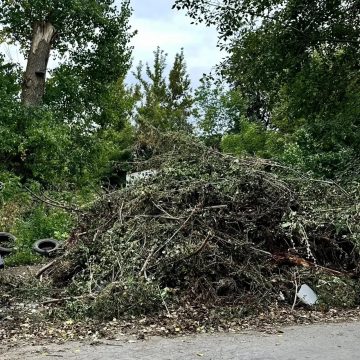 мусор адм В Липецке заключен контракт на вывоз несанкционированных свалок