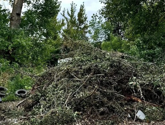В Липецке заключен контракт на вывоз несанкционированных свалок