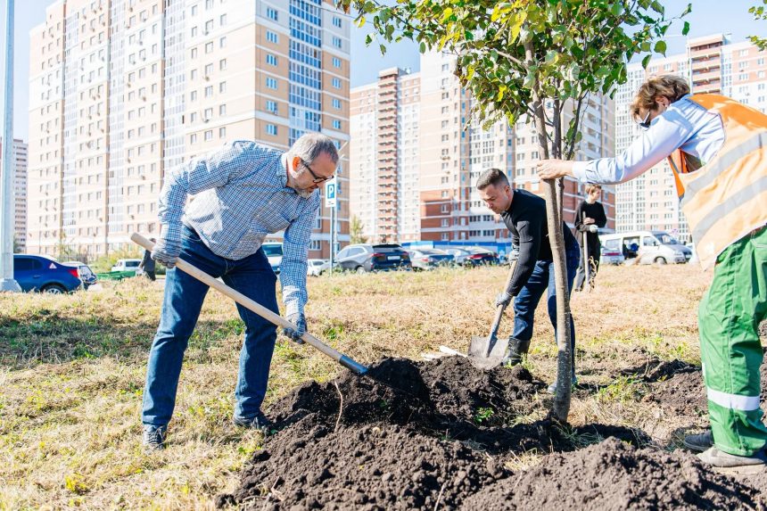Мэр Липецка сам сажает деревья в городе