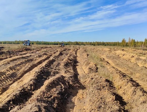 2 В Липецкой области запустят первый лесоклиматический проект