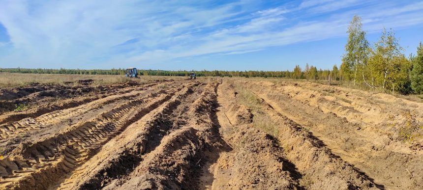 2 В Липецкой области запустят первый лесоклиматический проект
