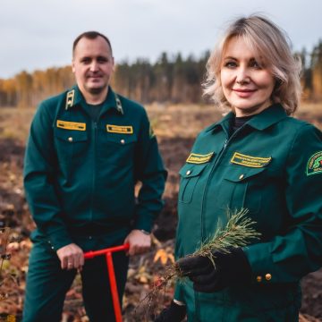 15 тысяч сеянцев сосны посадили 200 добровольцев под Липецком
