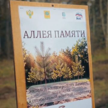На Дачном в Липецке посадили сосновую аллею памяти погибших бойцов СВО