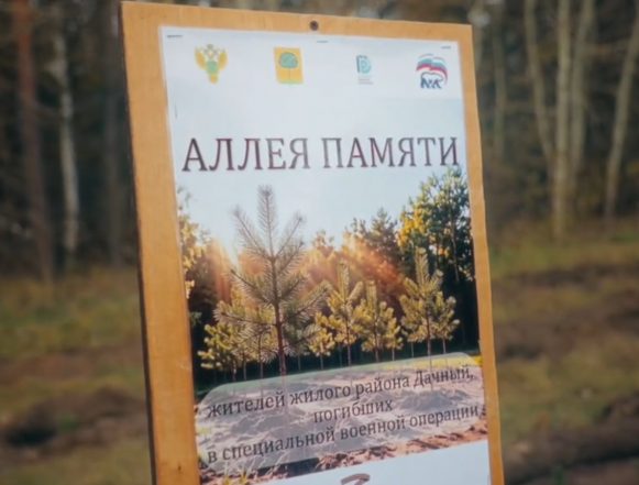 На Дачном в Липецке посадили сосновую аллею памяти погибших бойцов СВО